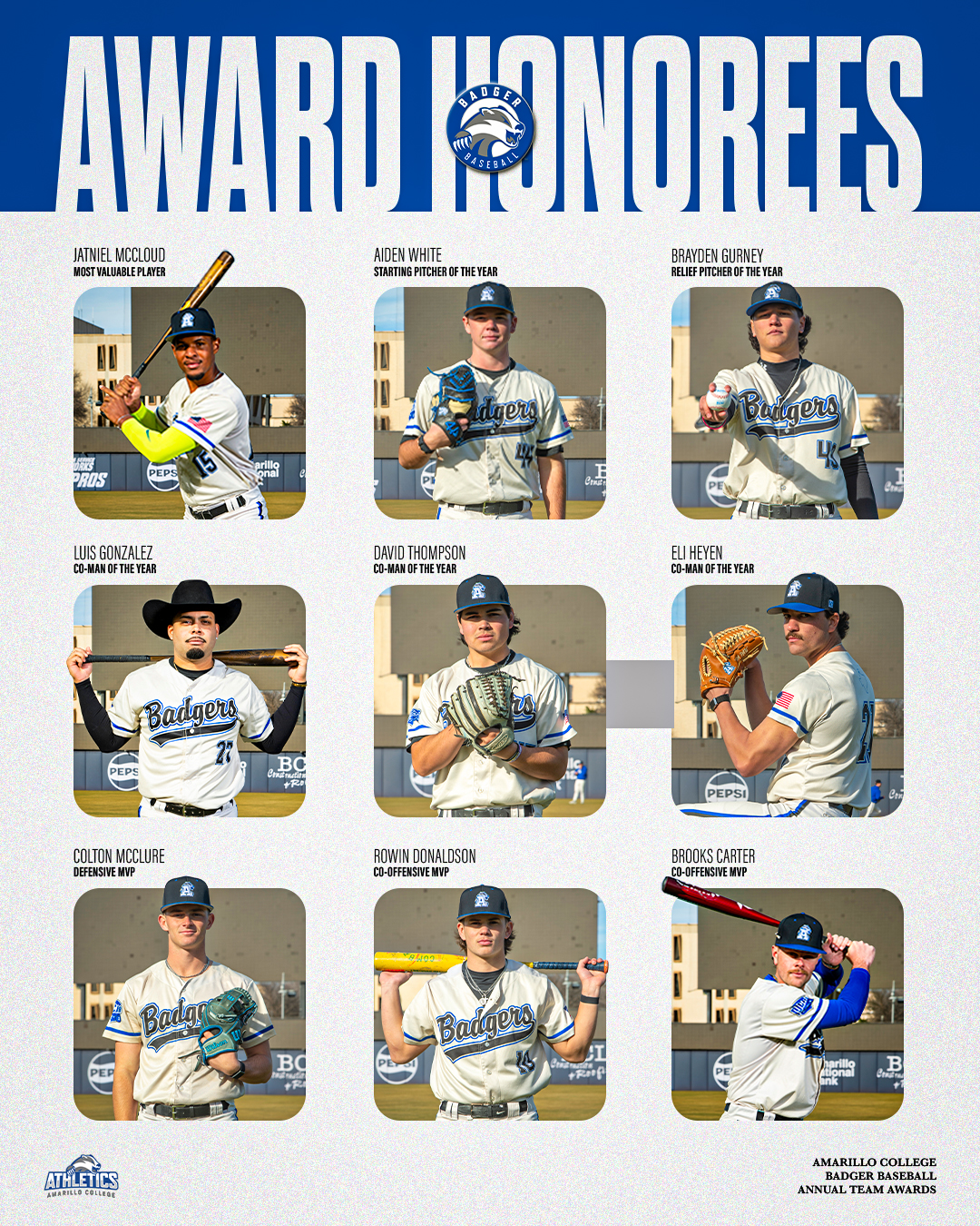 Baseball awards graphic