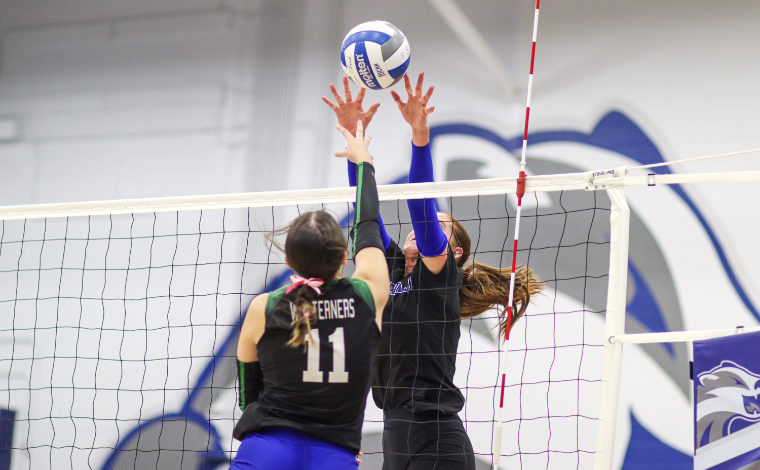 Jayli Franklin Block