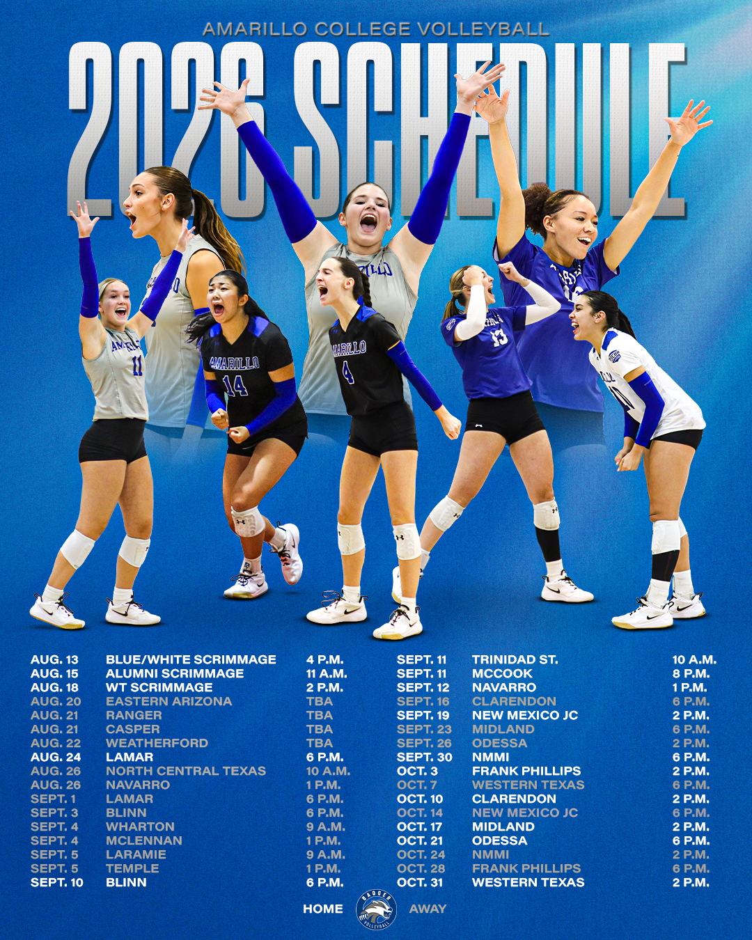 Volleyball Schedule Graphic