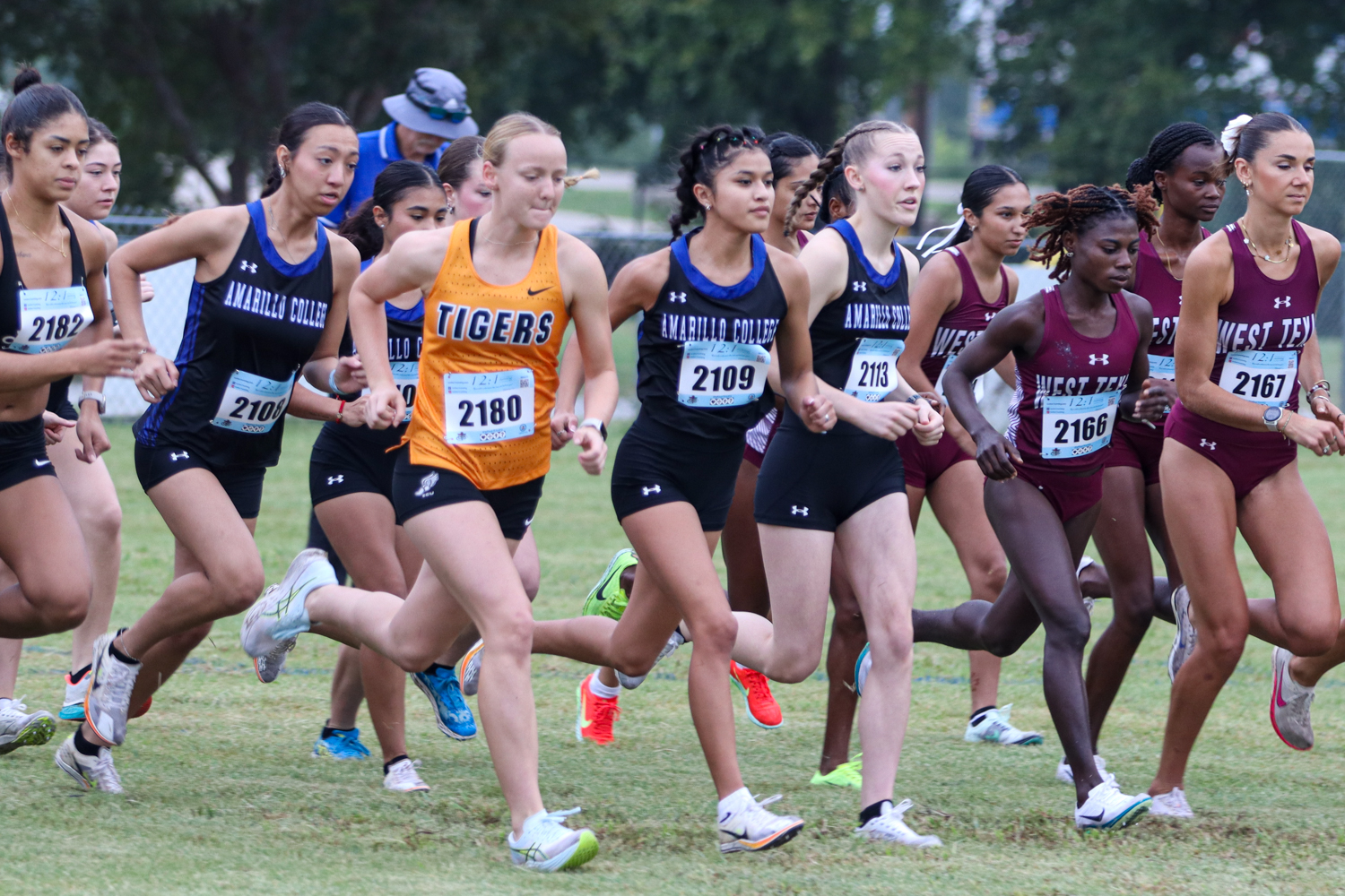 Women XC Race Start Photo Aggie Duels